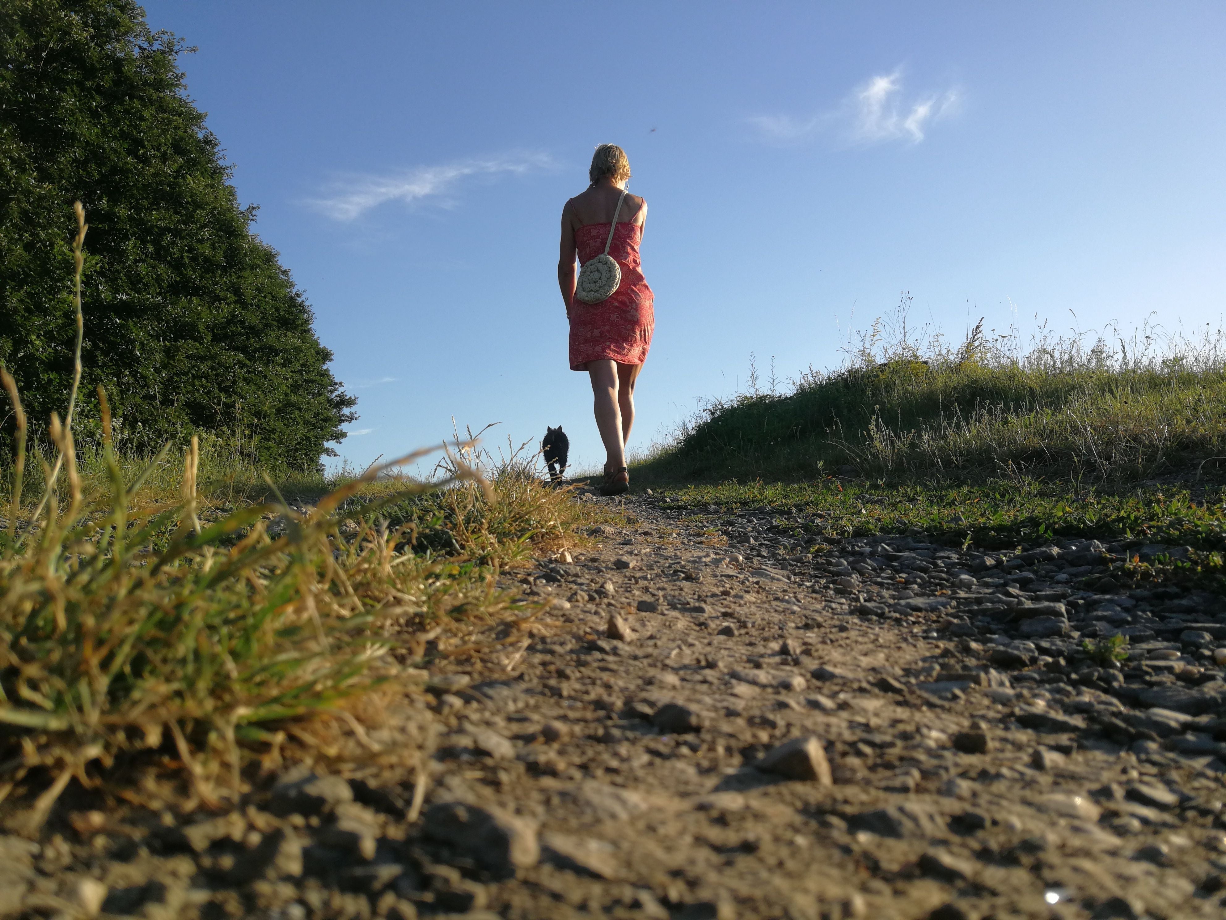 Share Your Walking Story